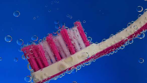 toothbrush-2675520 1920