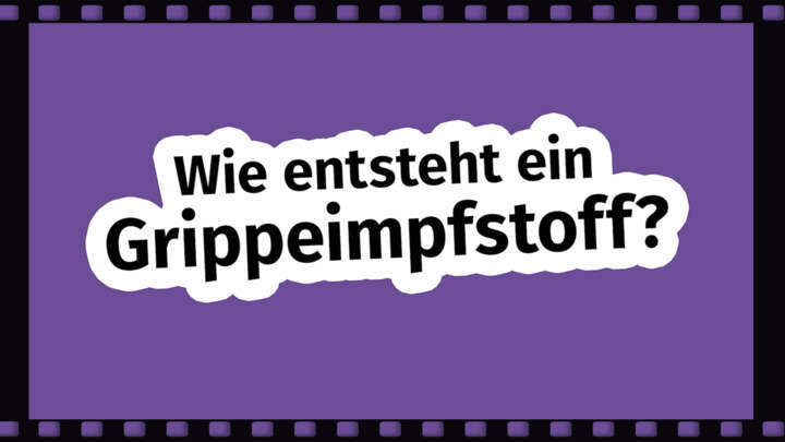 Wie entsteht wein Grippeimpfstoff Bild