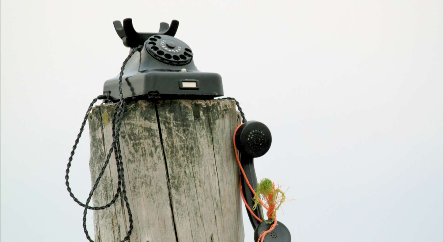 Alter Telefonapparat auf einem Baumstamm